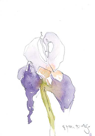 #506 ~ Simard - Untitled - Iris