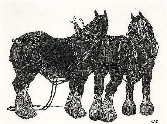 #509 ~ Smith - Clyde Team