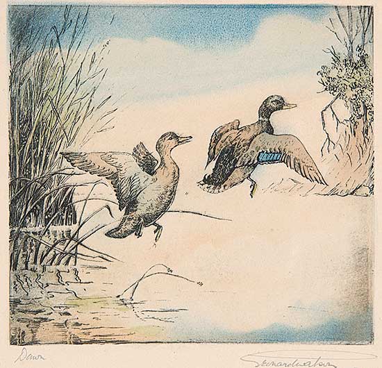 #536 ~ Watson - Dawn