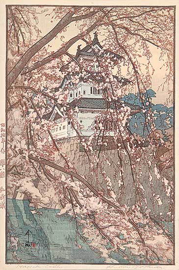 #543 ~ Yoshida - Hirasaki Castle