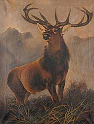 #96 ~ Revill - Untitled - Mountain Stag