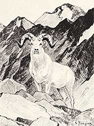 #101 ~ Rungius - Untitled - Rocky Mountain Ram