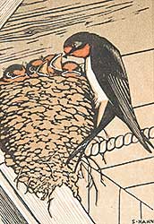 #382 ~ Hahn - Swallows