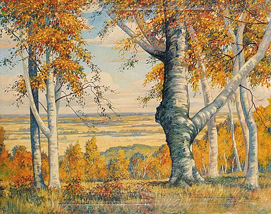#24 ~ Fanshaw - The Birch on Riding Mountain