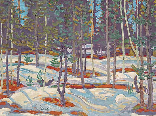 #53 ~ Kerr - Pinewoods, Spring, 1973