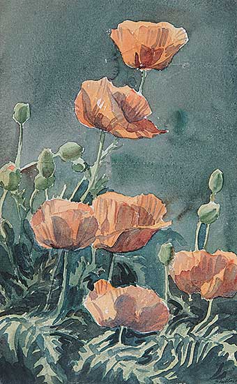 #99 ~ Shelton - Untitled - Poppies