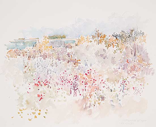 #307 ~ Cowley - Friesen Thicket