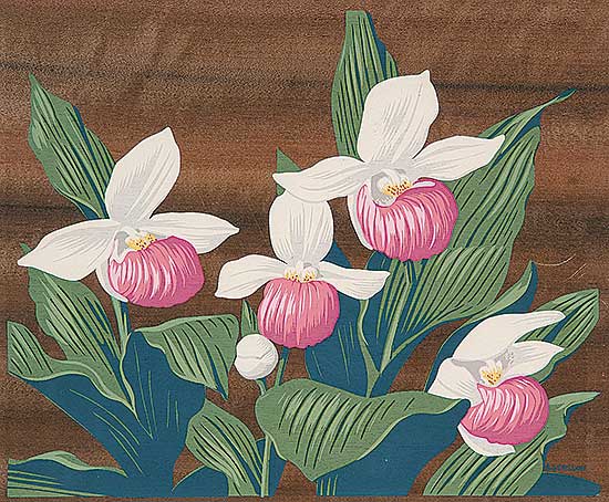 #420 ~ Casson - Untitled - Wild Orchids