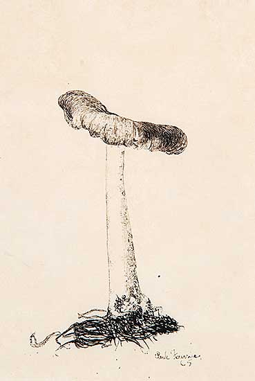 #433 ~ Fournier - Mushroom #1