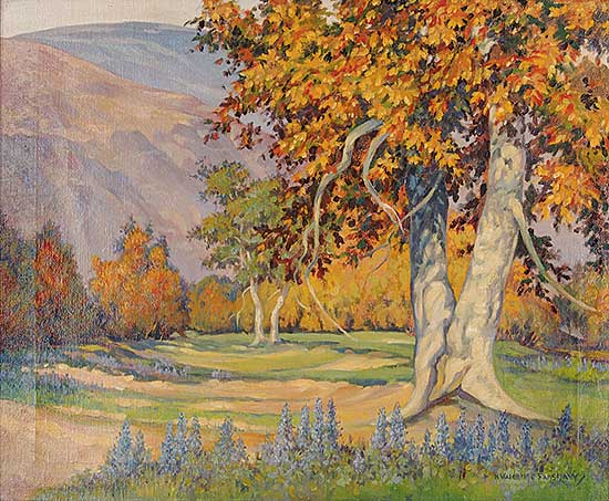#31 ~ Fanshaw - Untitled - California Landscape
