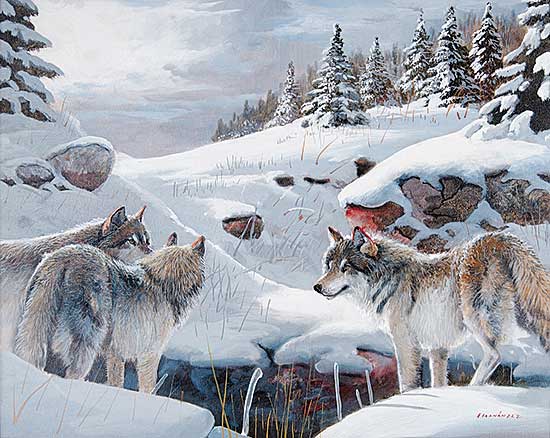 #33 ~ Fernandez - Untitled - Timber Wolves