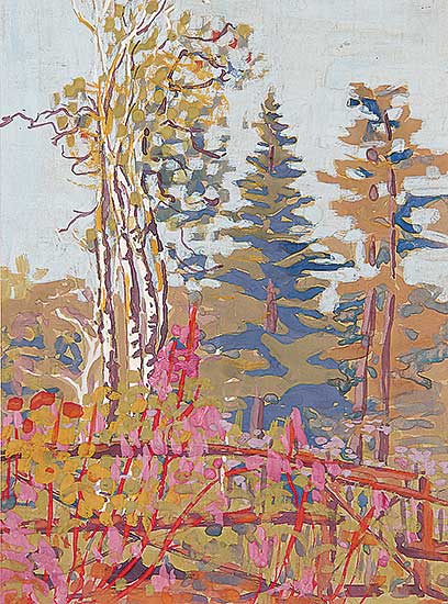 #66 ~ Johnston - Backyard of Cottage at Victoria Beach