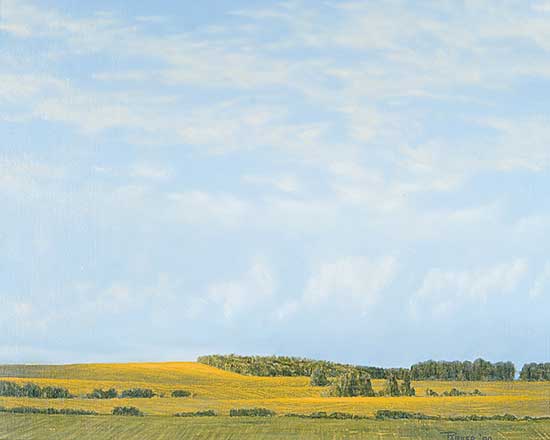 #90 ~ Parker - Canola Fields