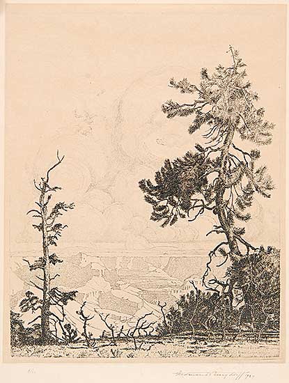 #202 ~ Burgdorff - Grand Canyon Arizona  #6/50