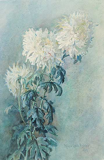 #402 ~ Ashley - Untitled - Chrysanthemums