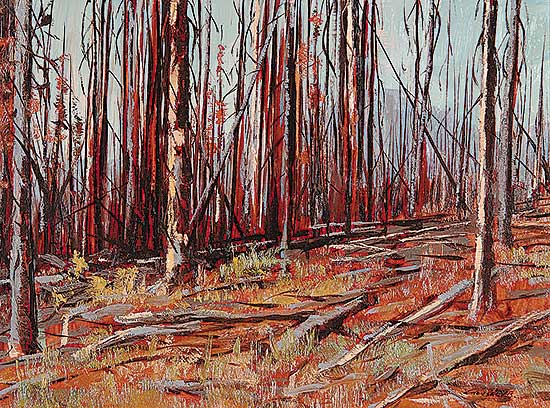 #450 ~ Gonsalves - After the Fire, Kootenay Nat. Park, Storm Mountain