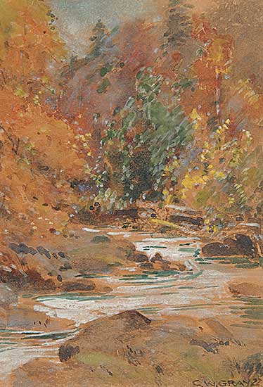 #455 ~ Gray - Untitled - Forest Stream
