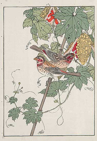 #480 ~ Keinen - Untitled - Two Birds