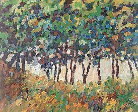 #493 ~ Lemco - Treasure of Trees