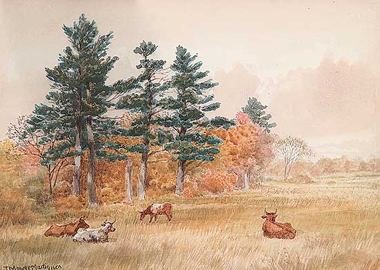 #504 ~ Martin - Untitled - Grazing Cattle