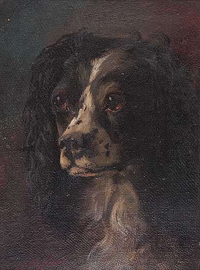 #505 ~ Martin - Untitled - Spaniel