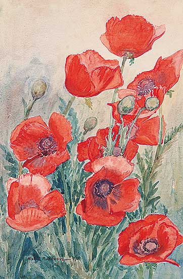 #522 ~ Musgrove - Poppies