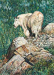 #85 ~ McLean - Untitled - Rocky Mountain Goat