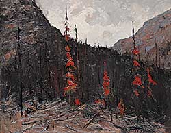 #465 ~ Hopkinson - Fire Swept Mt. Wimper, B.C.