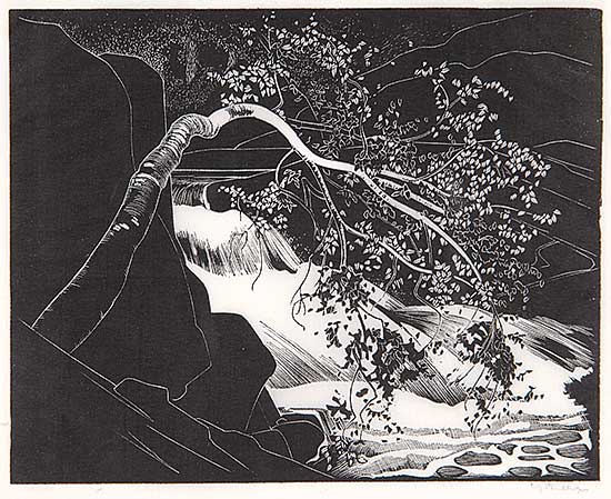 #104 ~ Phillips - Rushing River, Lake of the Woods