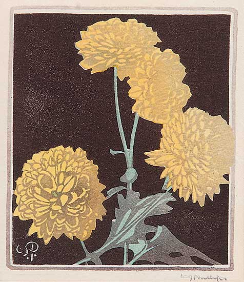 #105 ~ Phillips - Pom Poms