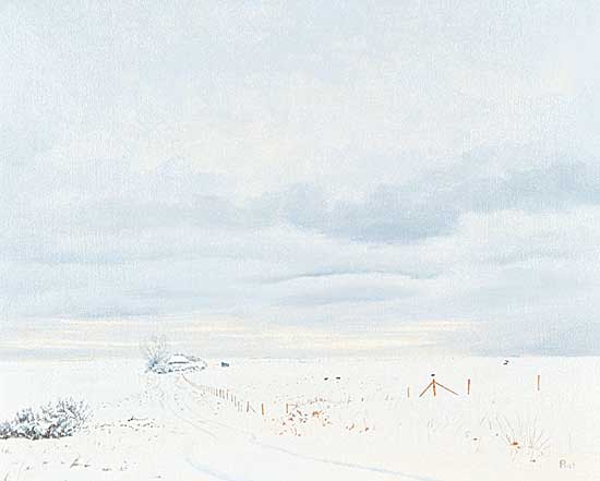 #110 ~ Raftery - Wet Snow