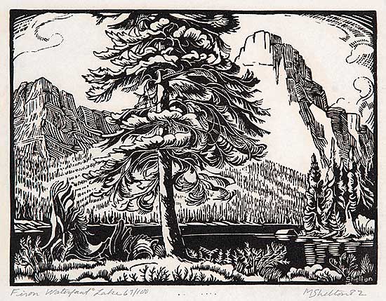 #124 ~ Shelton - Fir on Waterfowl Lake  #67/100