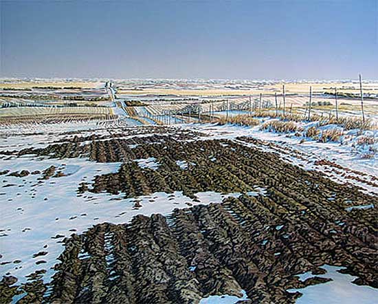 #145 ~ Webb - Furrows and Fence Line