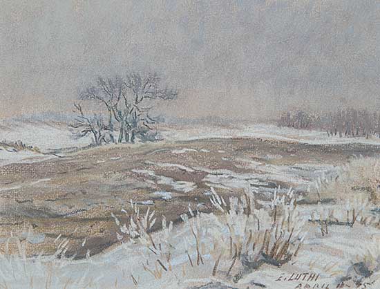 #265 ~ Luthi - Hoar Frost and Fog