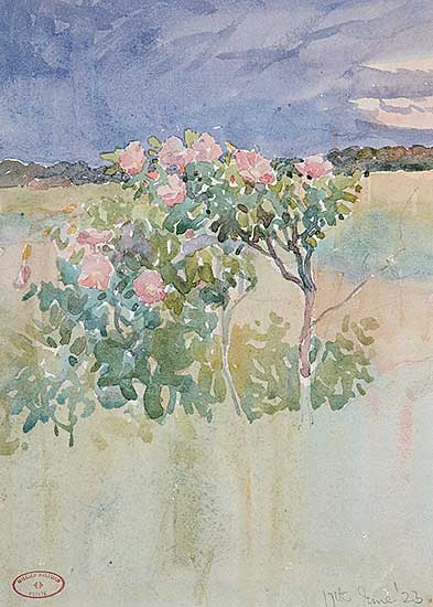#271 ~ Maltman - Untitled - Wild Rose