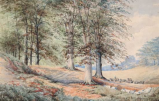 #274 ~ Martin - Untitled - Wooded Landscape with Sheep