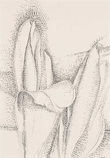 #35 ~ FitzGerald - Tulips