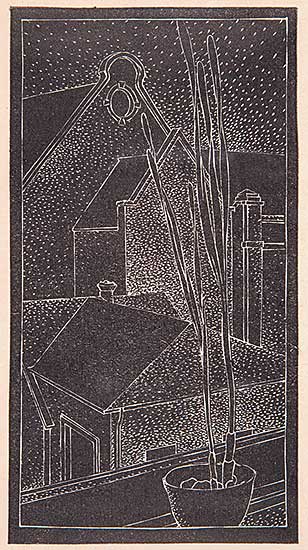 #38 ~ FitzGerald - View from Window with Potted Plant