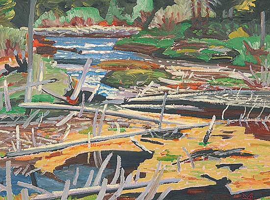 #54.1 ~ Kerr - Beaver Flats, Elbow River Forest Reserve