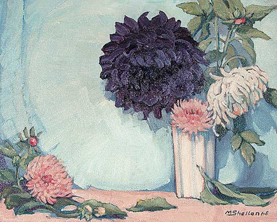 #125 ~ Shelton - Giant Dahlias