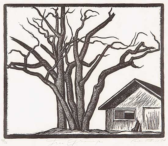 #404 ~ Atkins - Tree Group  #14/26