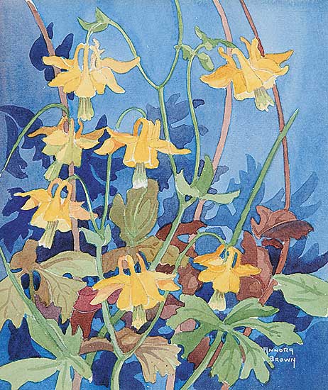 #420 ~ Brown - Untitled - Columbine
