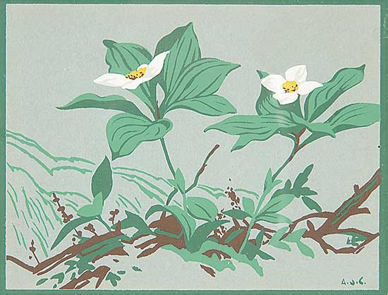 #429.1 ~ Casson - Untitled - Dogwood