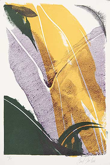 #484 ~ Jenkins - Untitled - Yellow, Purple and Green  #27/40