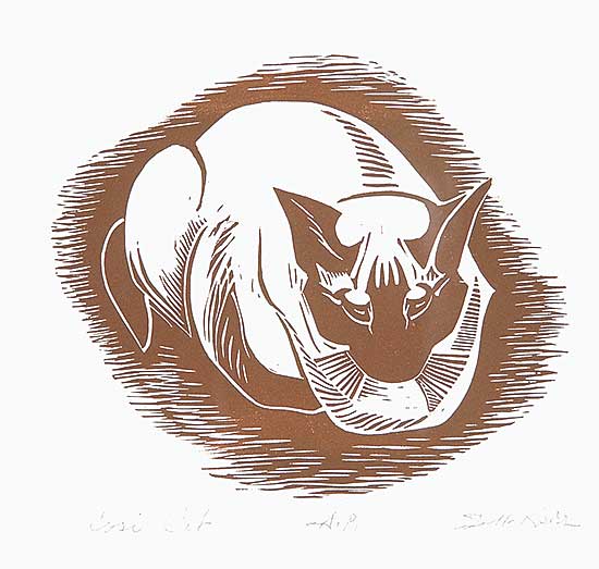 #491 ~ Kerr - Cosi Cat  #A.P.