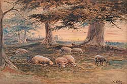 #77 ~ Matthews - Untitled - Sheep at Rest