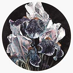 #138 ~ Thierfelder - Iris Cameo