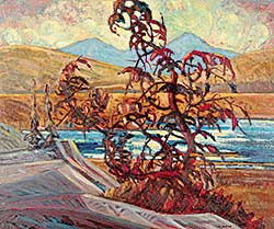 #534 ~ Pisko - West of Lundbreck