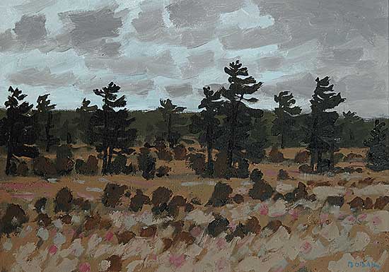 #10 ~ Bobak - Untitled - Stormy Pasture