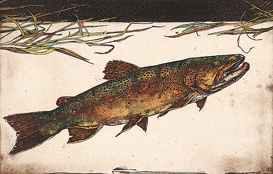#23 ~ Cowin - Brown [Western Trout Series]  #17/25